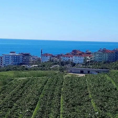 Beautiful Green At Cleopatra Beach דירה *